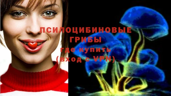 тгк Горняк