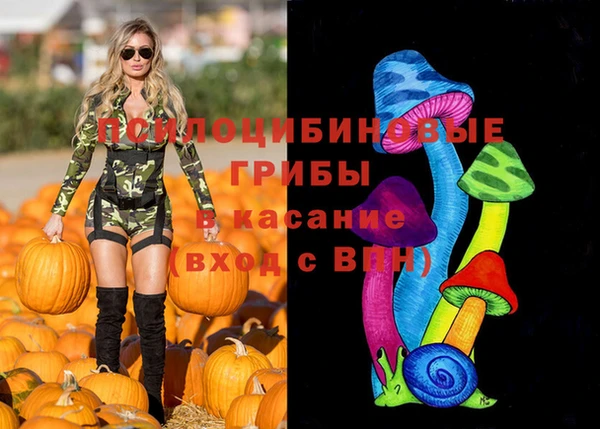 мдпв Верхнеуральск