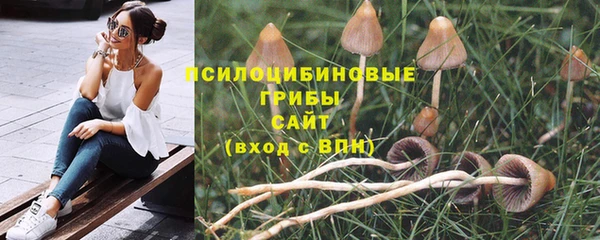 Альфа ПВП Горно-Алтайск