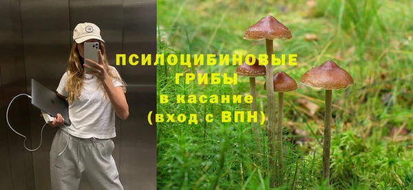 a pvp Горнозаводск