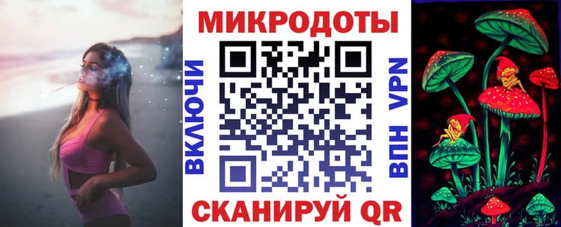 где купить наркотик  Елизово  Галлюциногенные грибы Psilocybine cubensis 